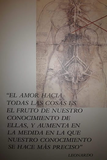 "il.lustració"